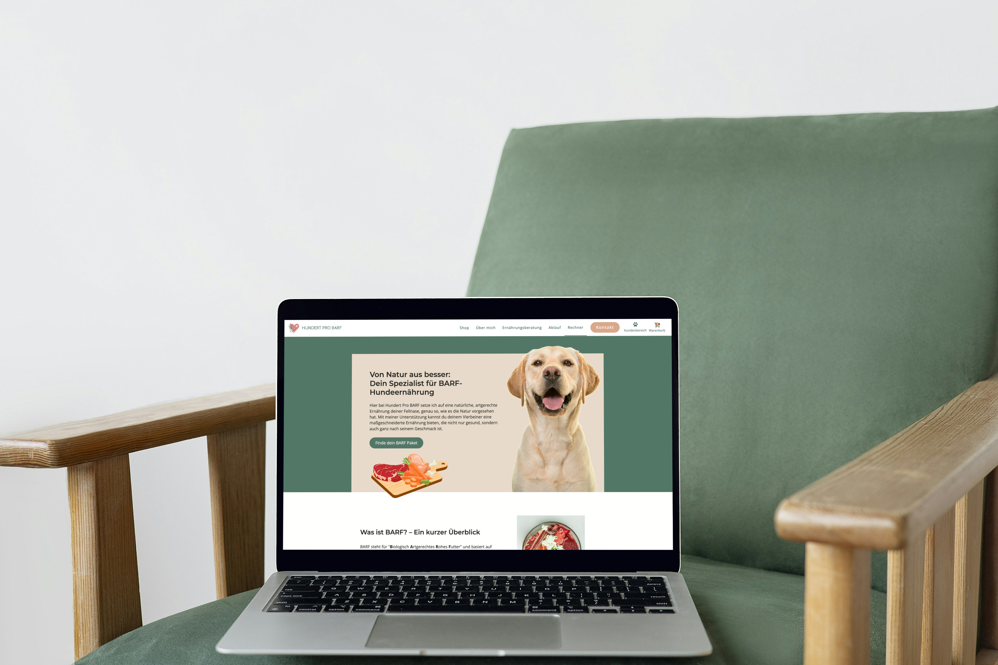 Laptop auf grünem Sessel mit Hundert Pro Barf Website offen